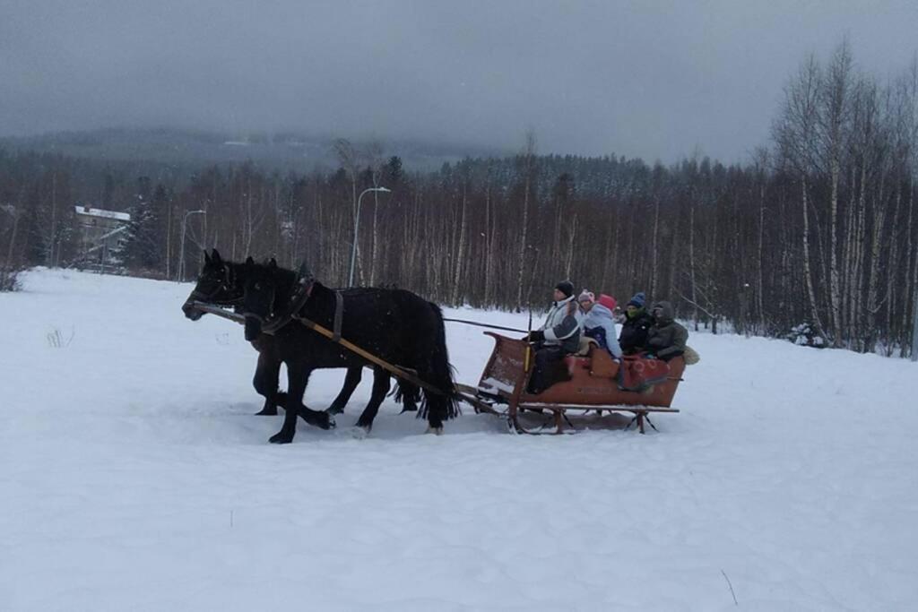Nowoczesne Mieszkanie Blisko Natury I Sklepu Biedronka Karpacz Exteriör bild