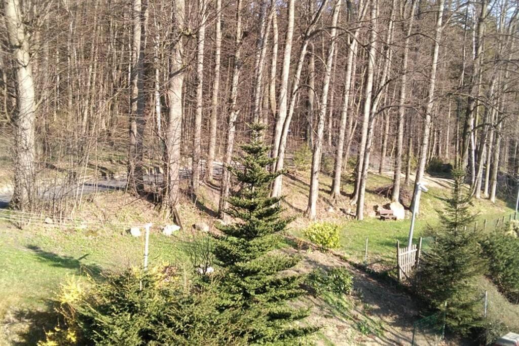 Nowoczesne Mieszkanie Blisko Natury I Sklepu Biedronka Karpacz Exteriör bild
